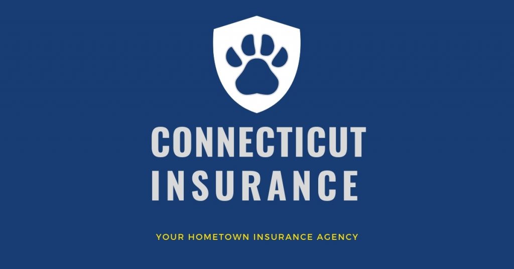 Featured image - Pet Insurance